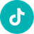 tiktok icon